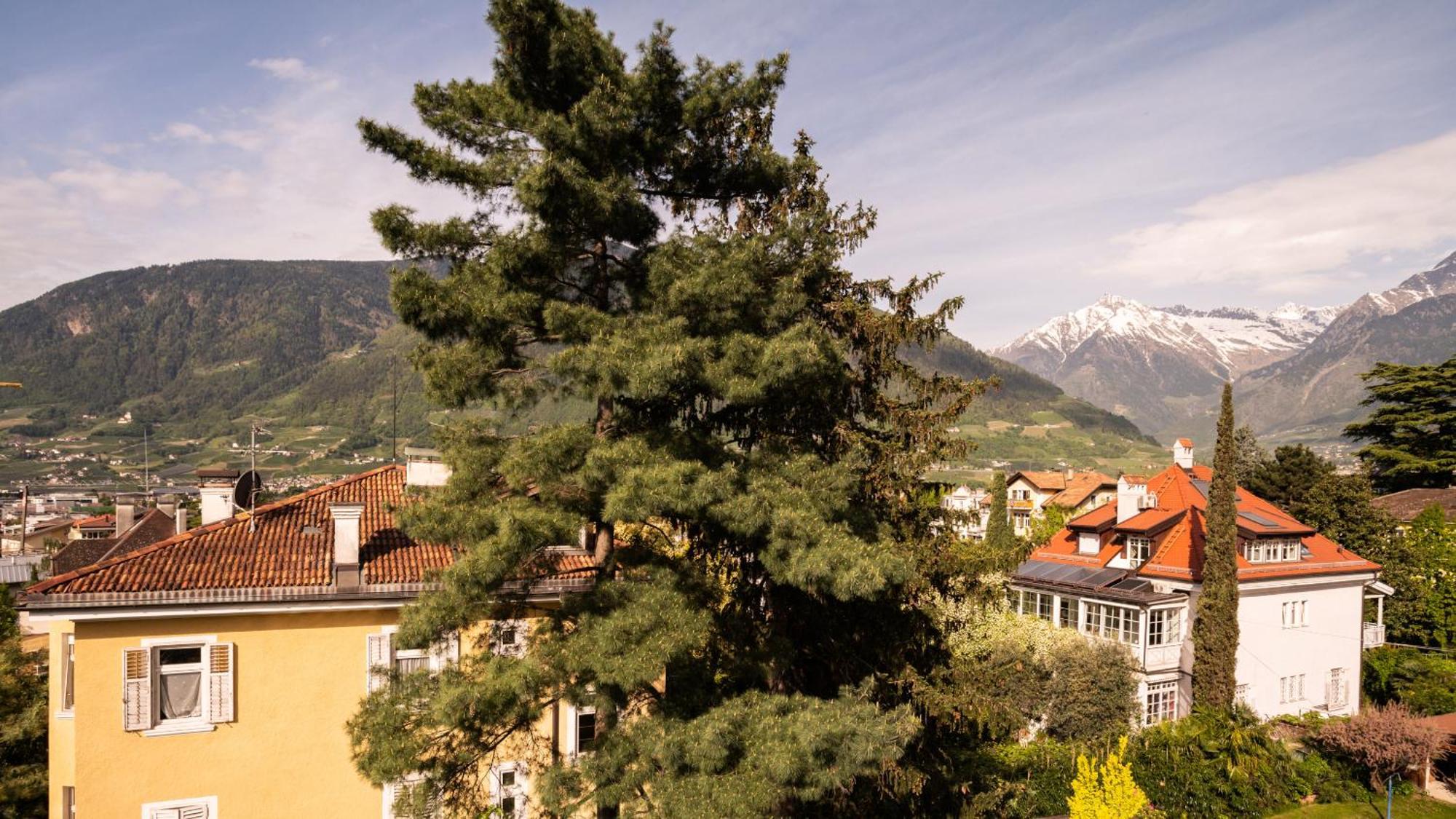 Hotel Villa Laurus Meran Zewnętrze zdjęcie